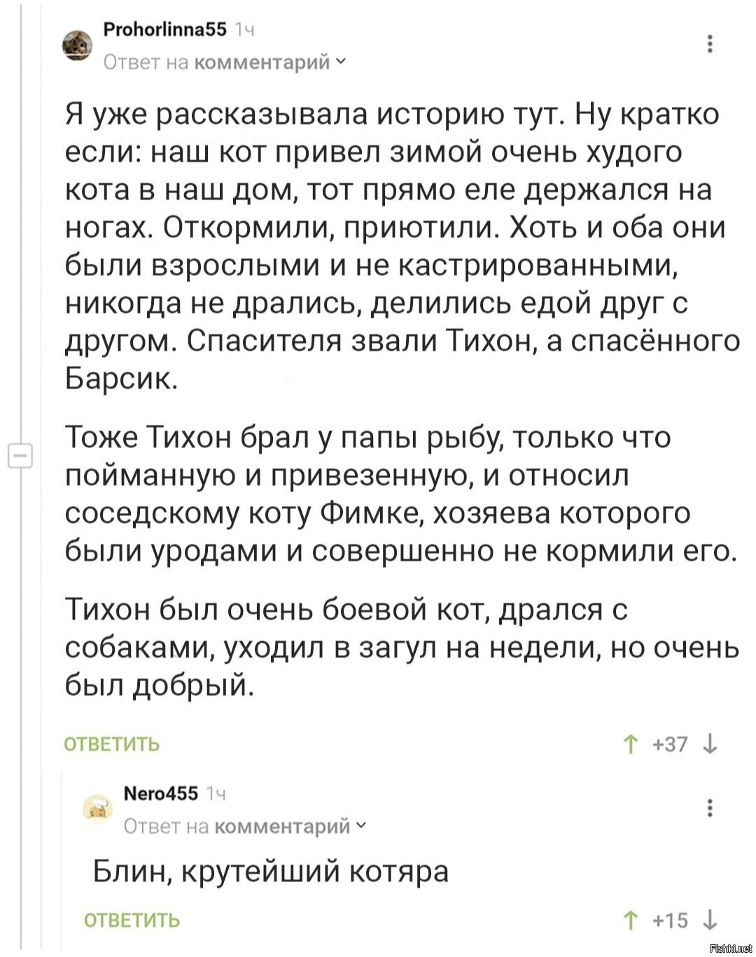 Солянка