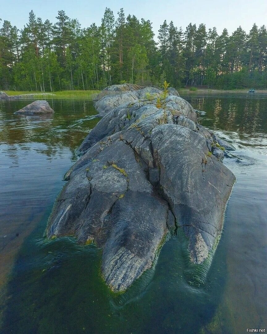 Солянка