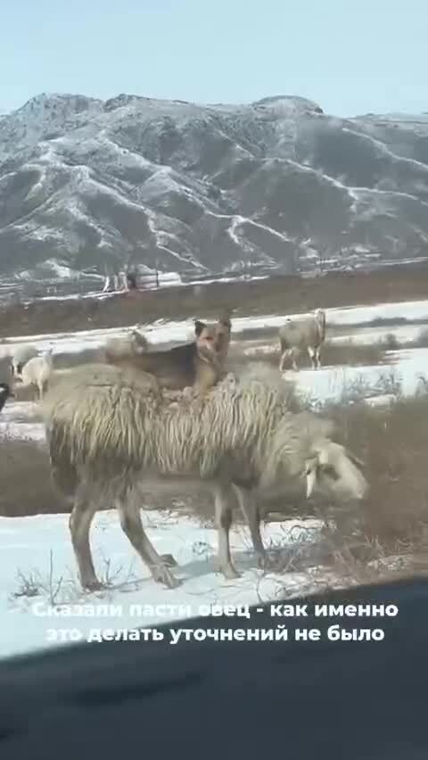 Солянка