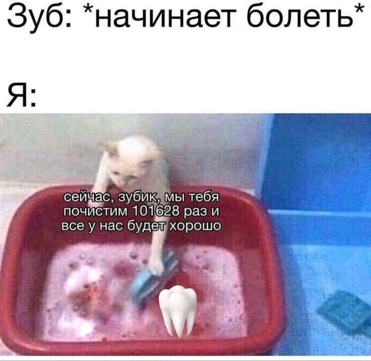 Весёлые картинки