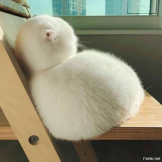 Зефирчик)