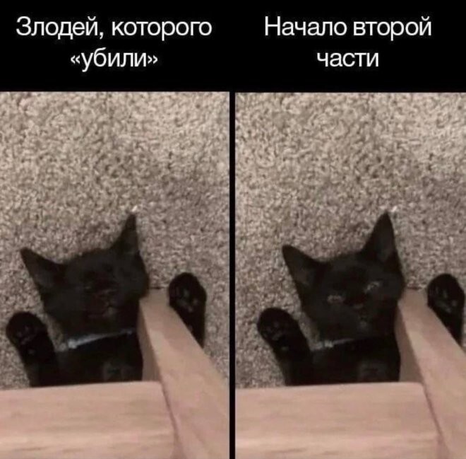 Смешные картинки