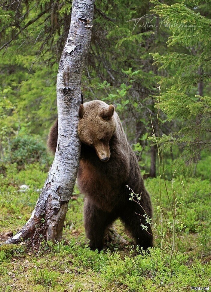 ой, где был я вчера