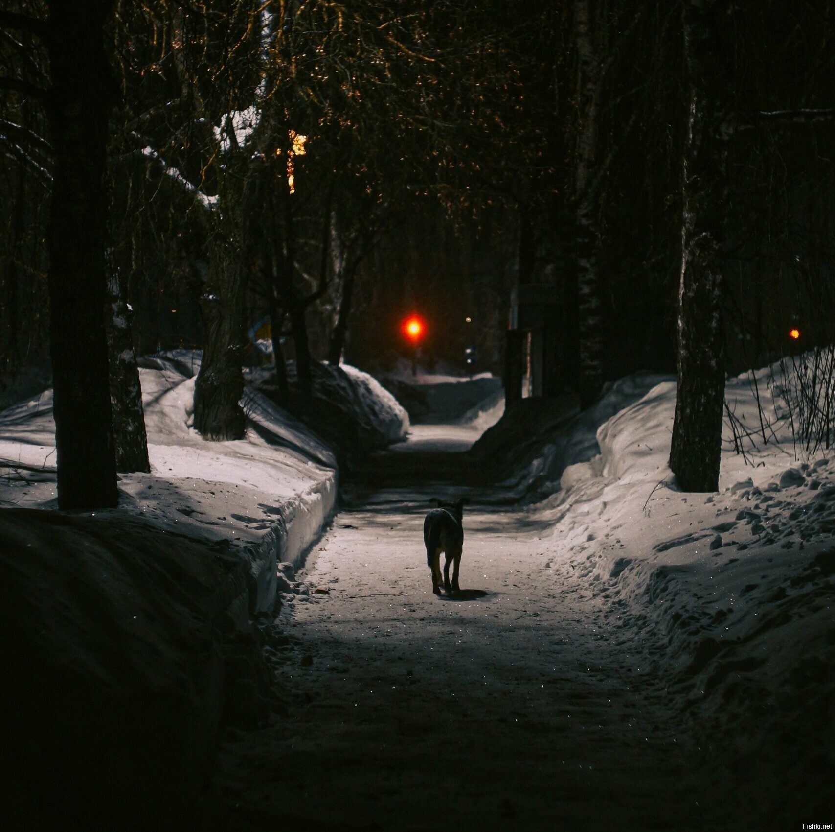 Солянка