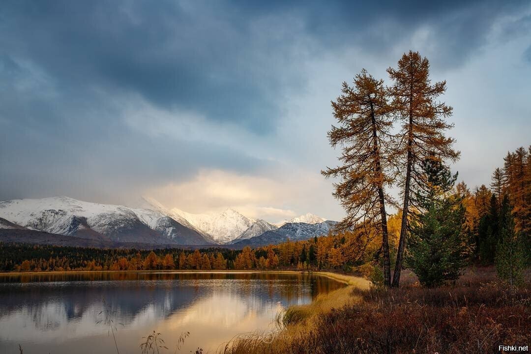 Солянка