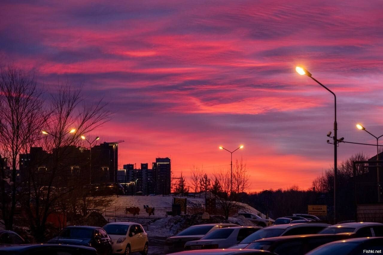 Солянка