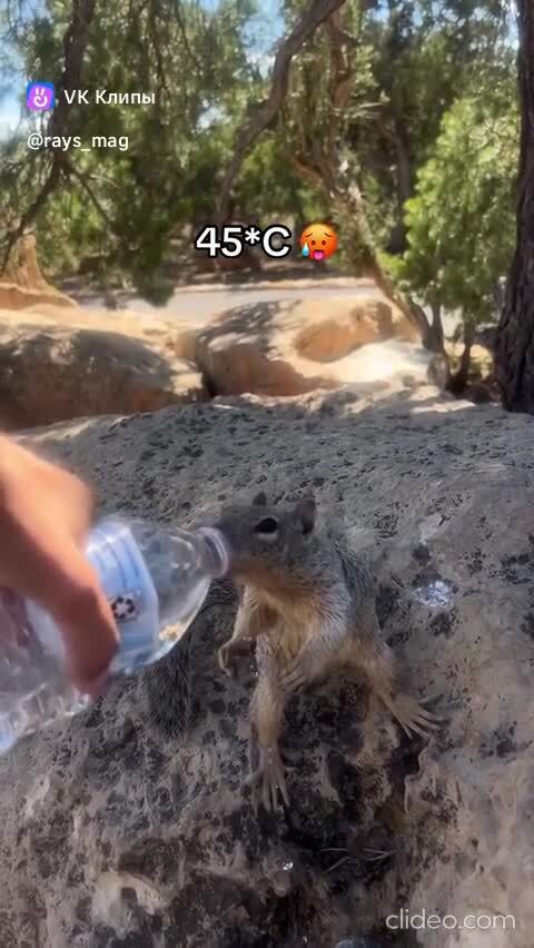 Ей тоже жарко )