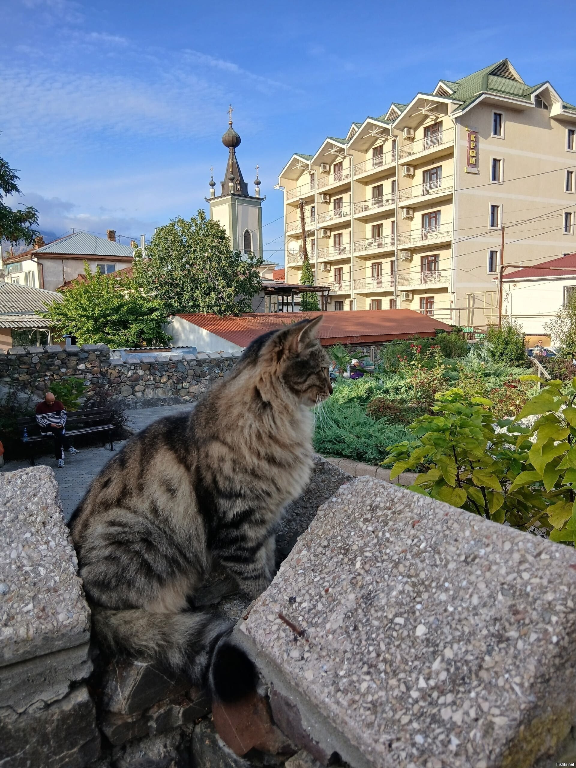 Солянка
