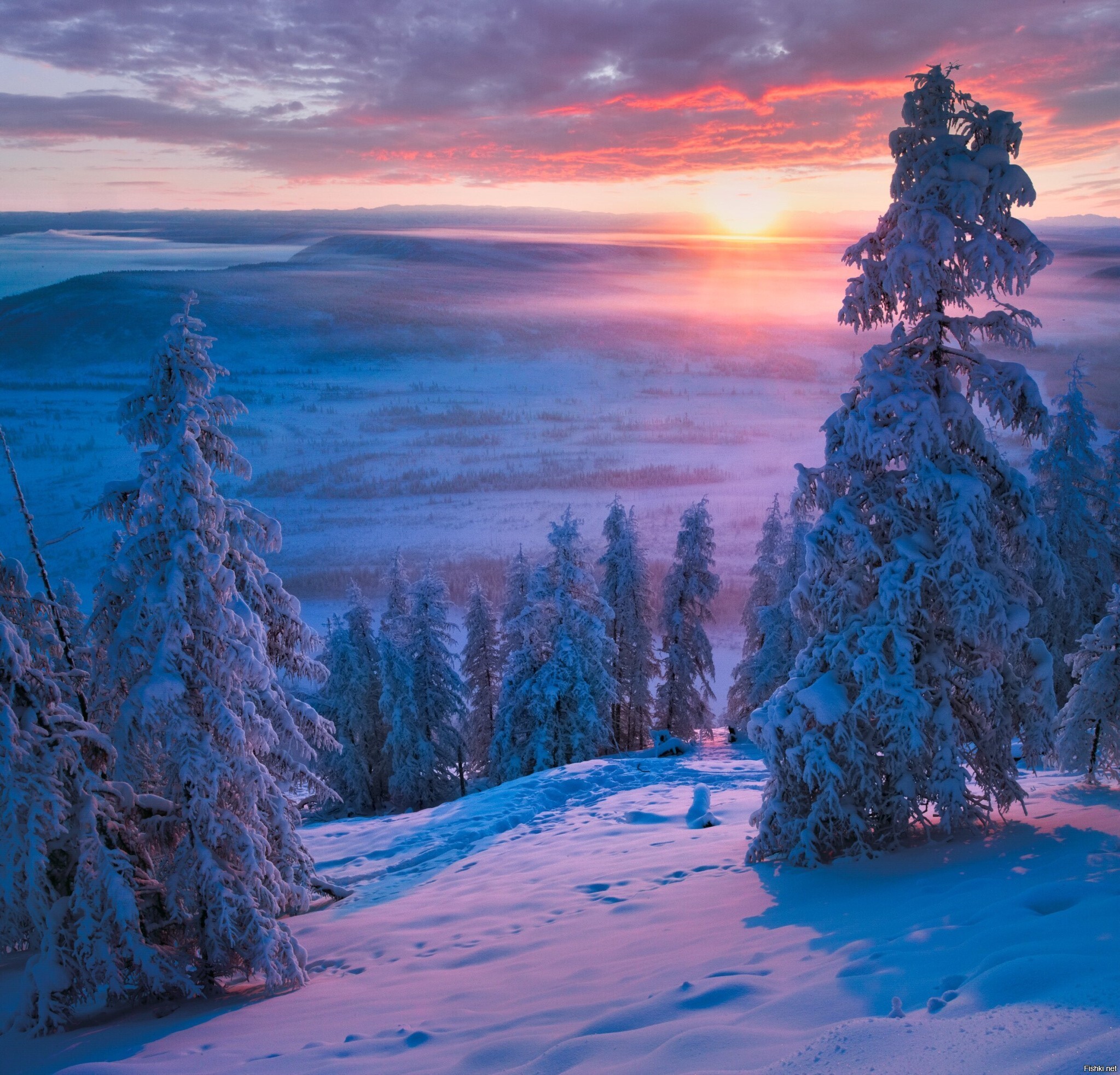 Солянка