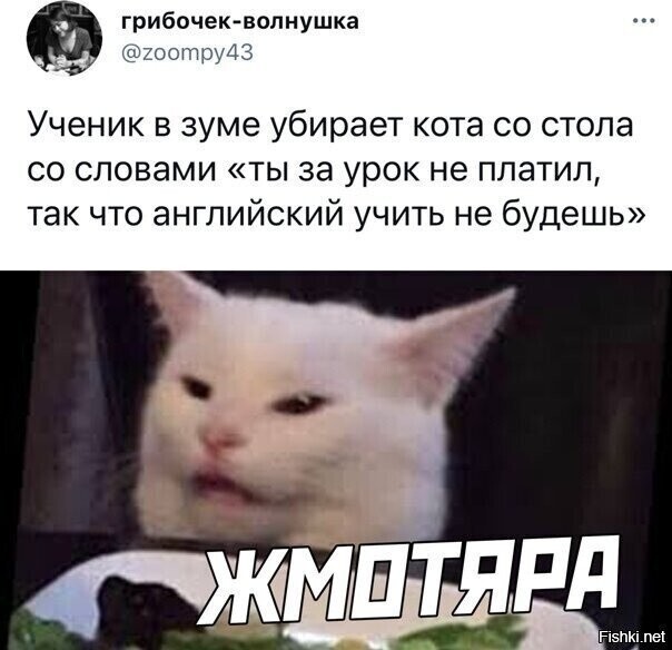 Солянка