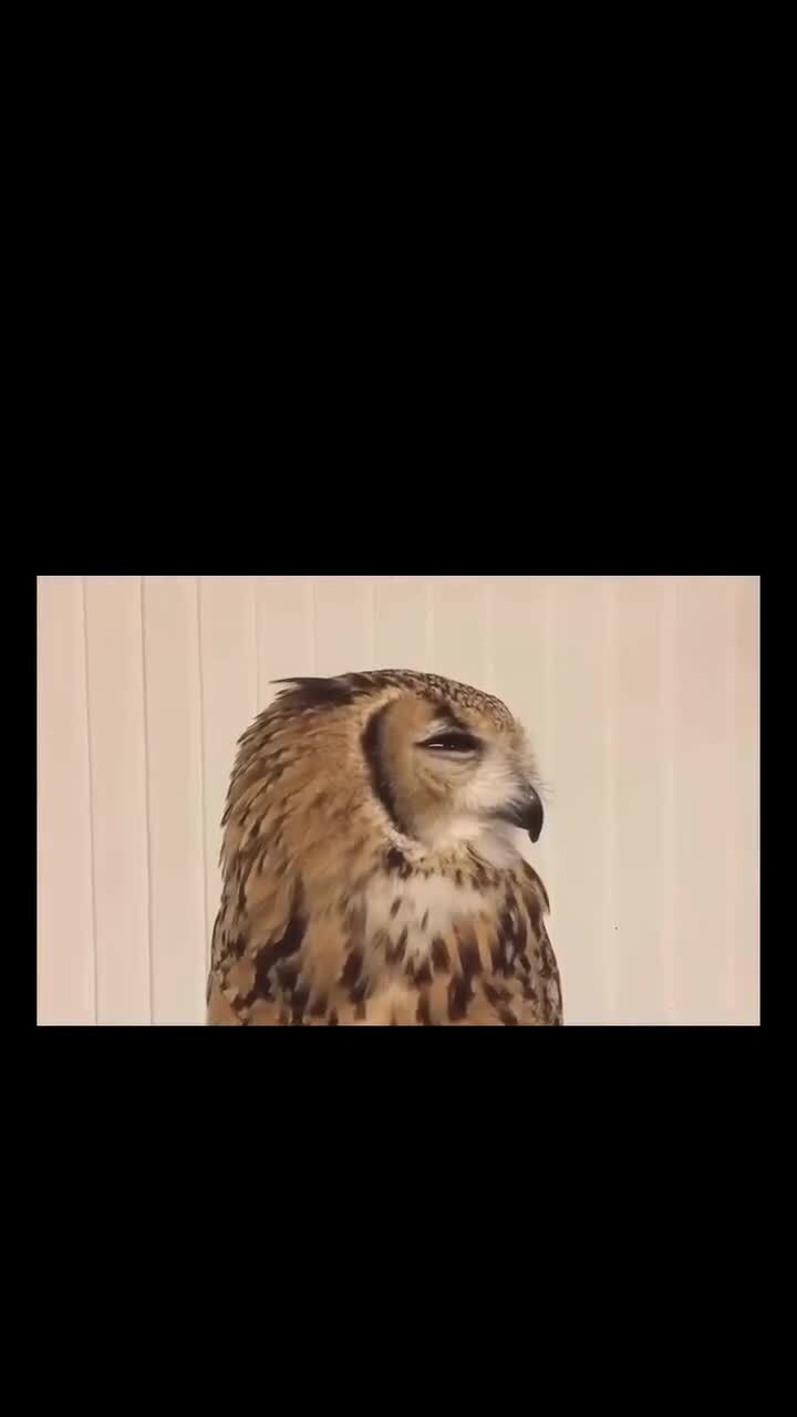 Чихает)