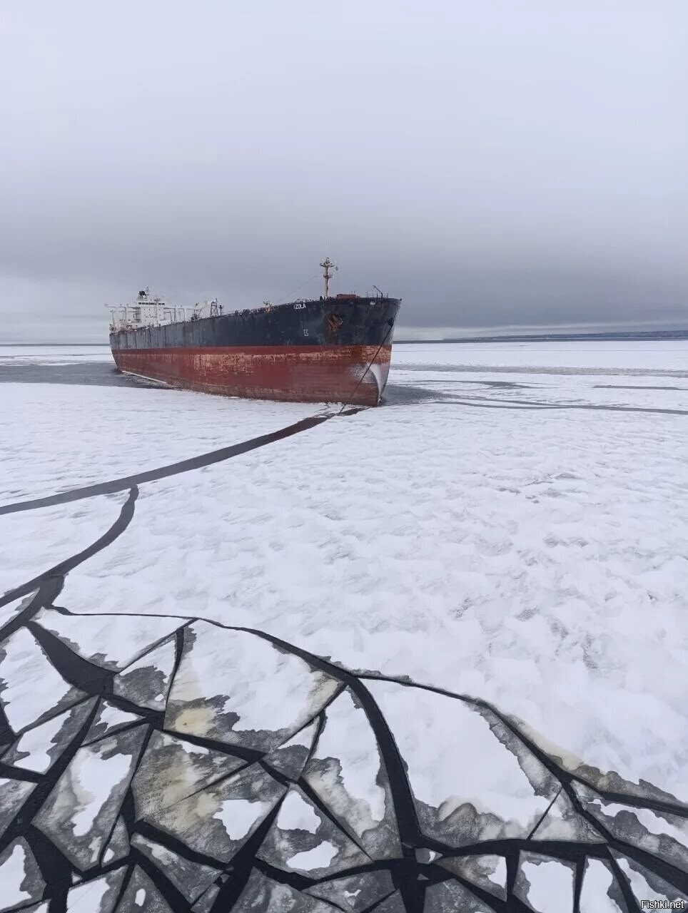 Солянка