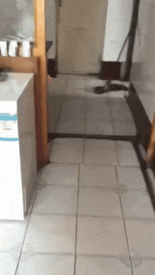 Эх
