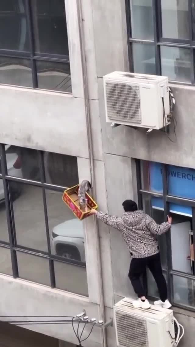 Спасение
