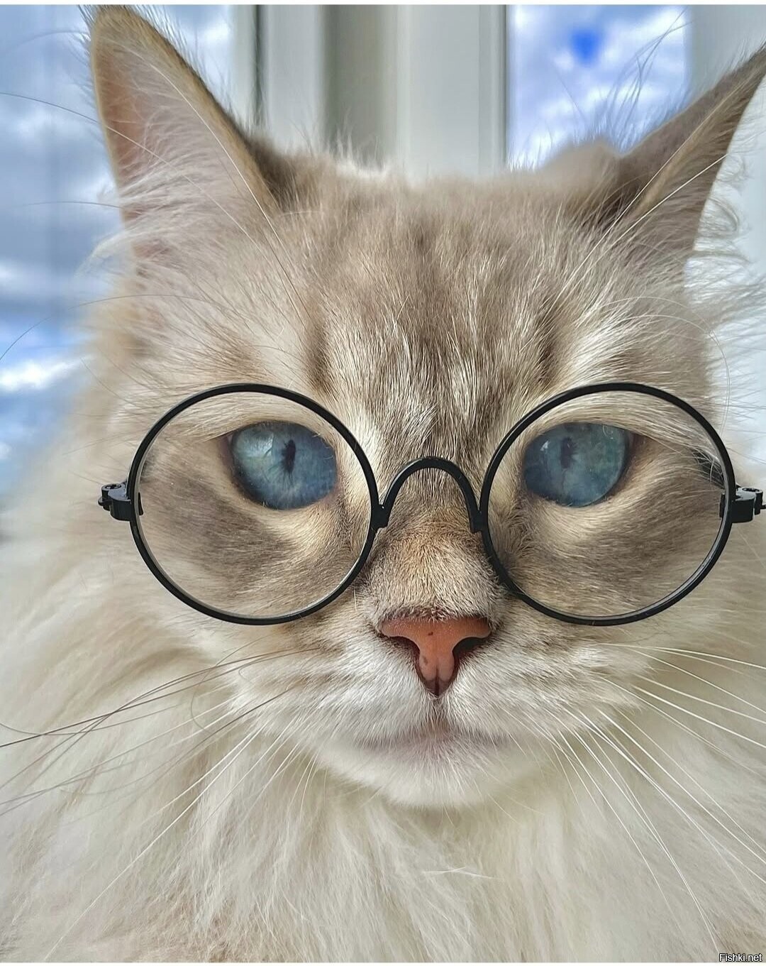 Доброе утро