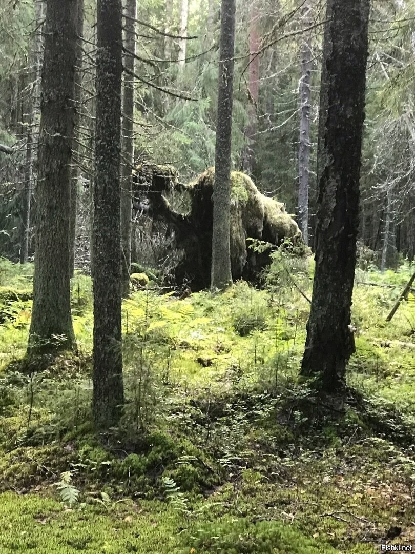 Вдруг