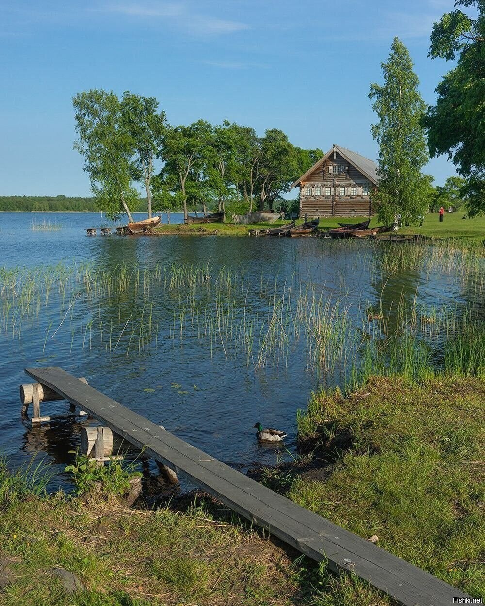 Солянка