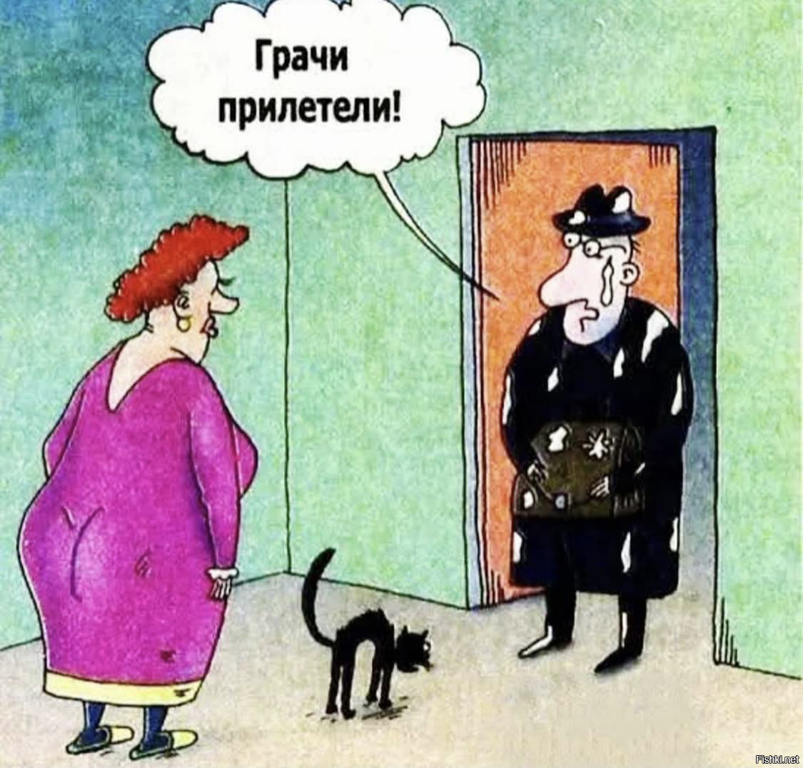 Солянка