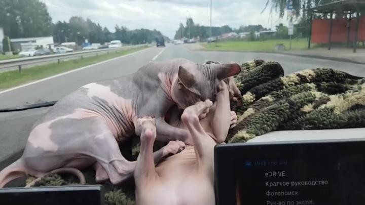 Солянка