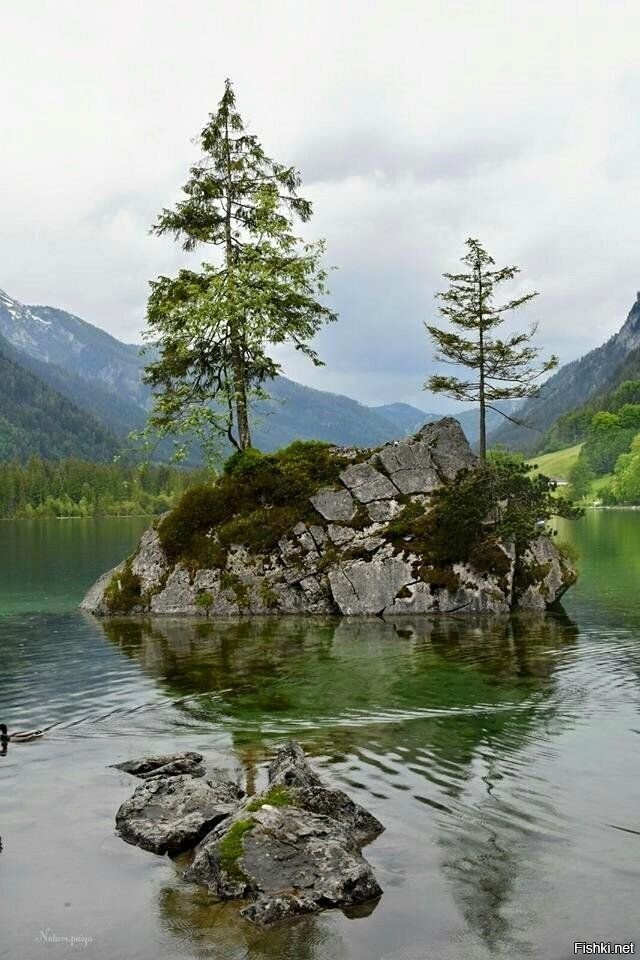 Солянка