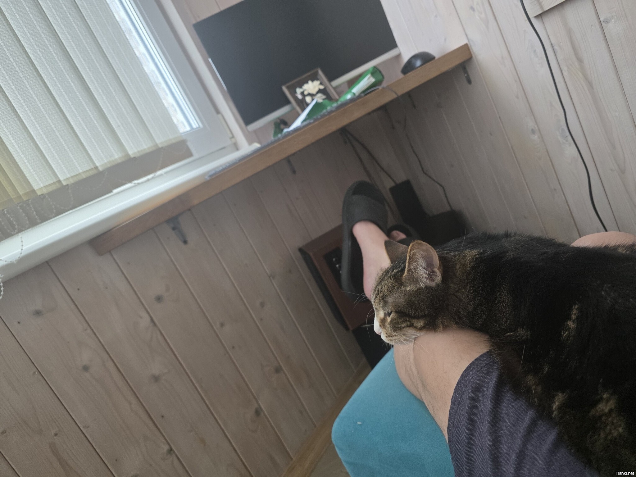 Скучает , никого не признаёт