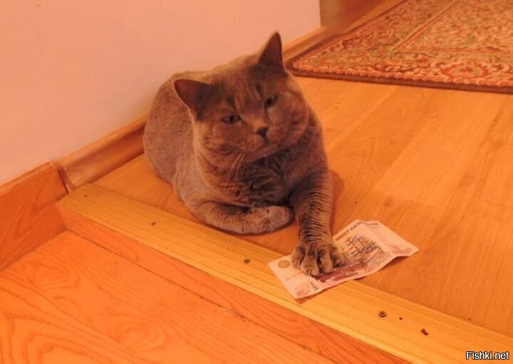 Мне цветов