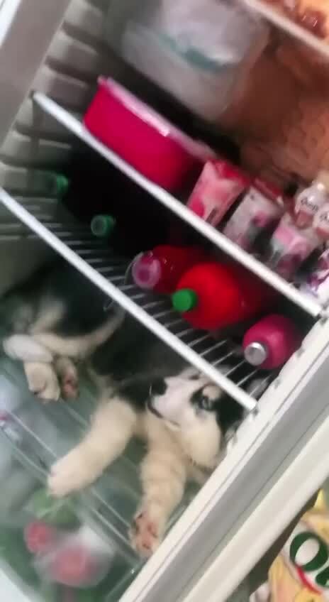 На посту 