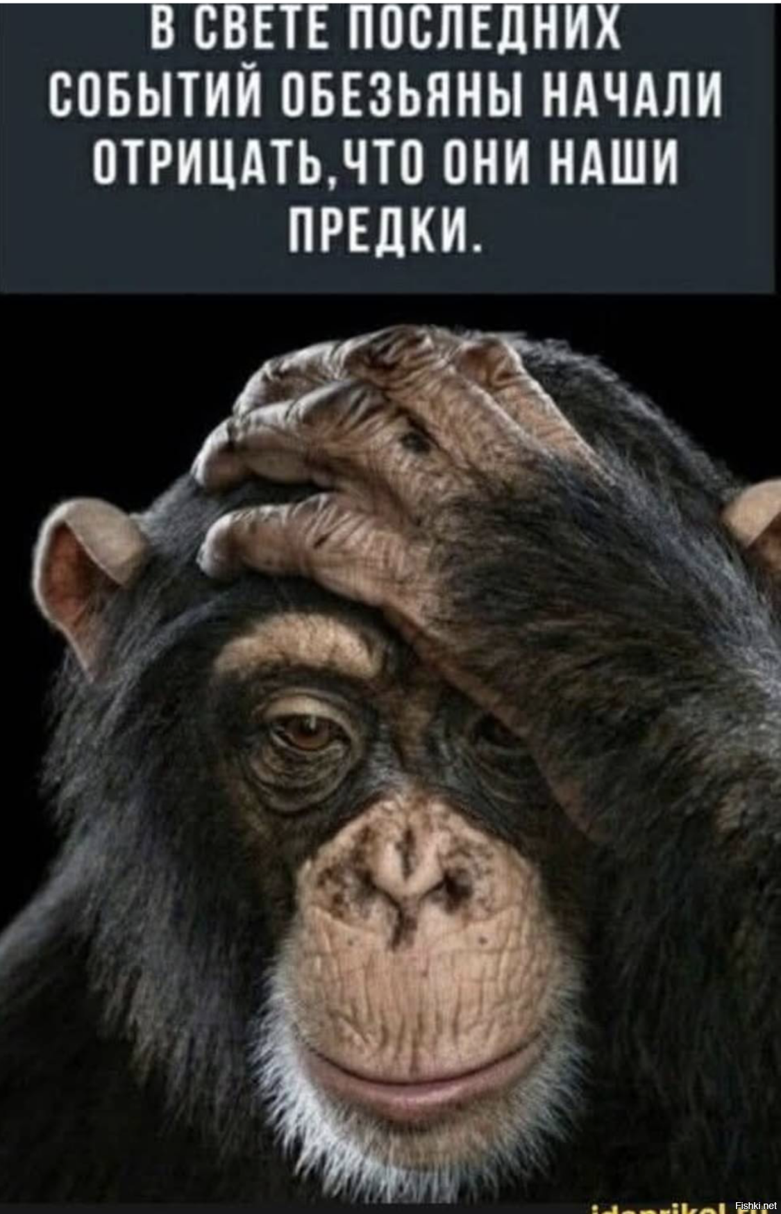 Так и до их Планеты недалеко 