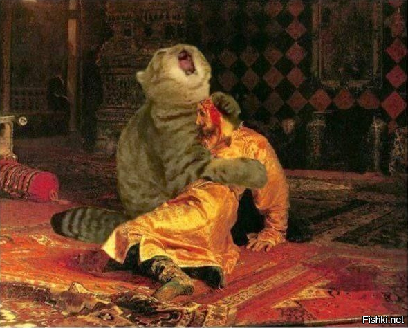 Солянка