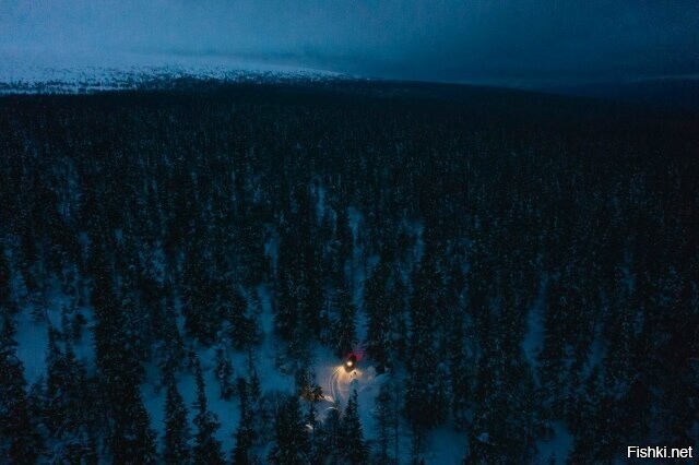 Солянка