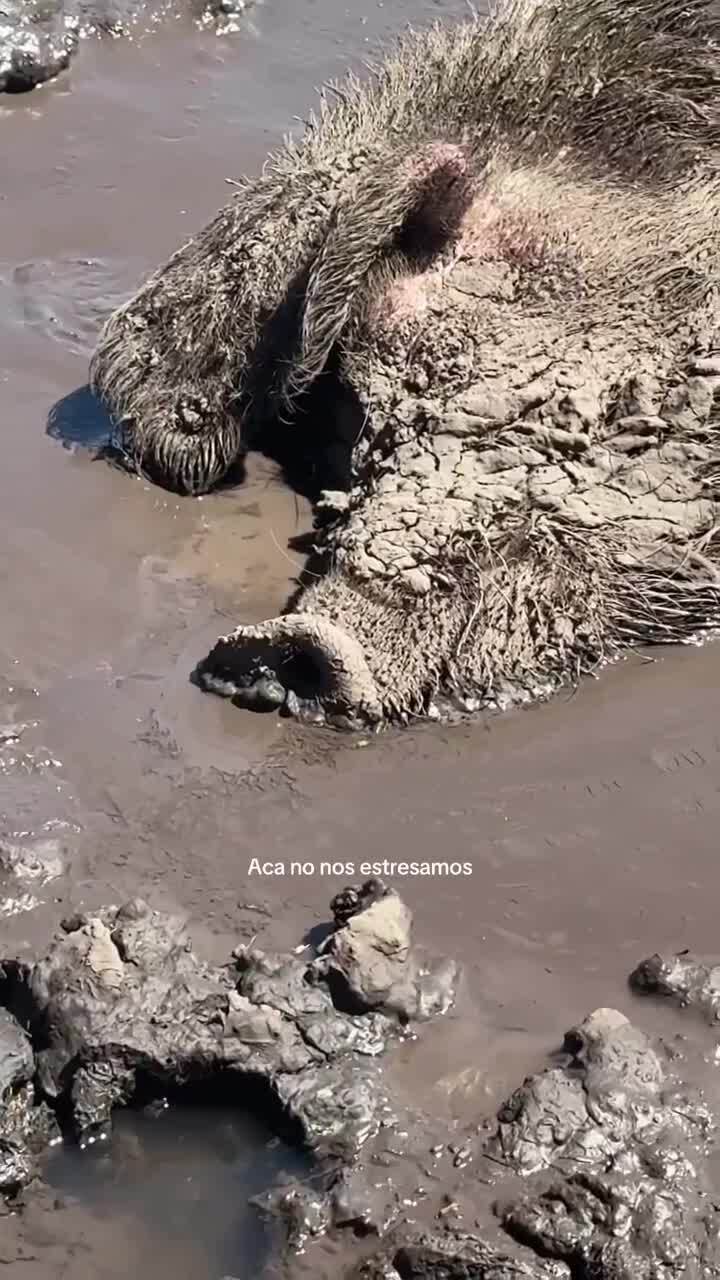 Жизнь удалась