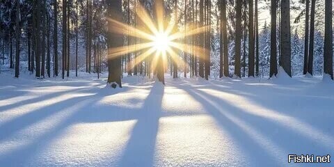 С добрым утром