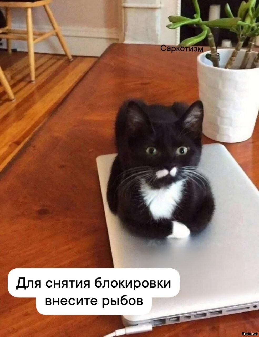 Солянка