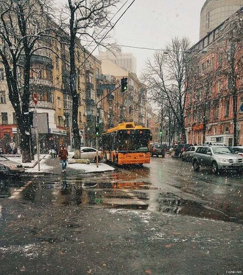 Солянка