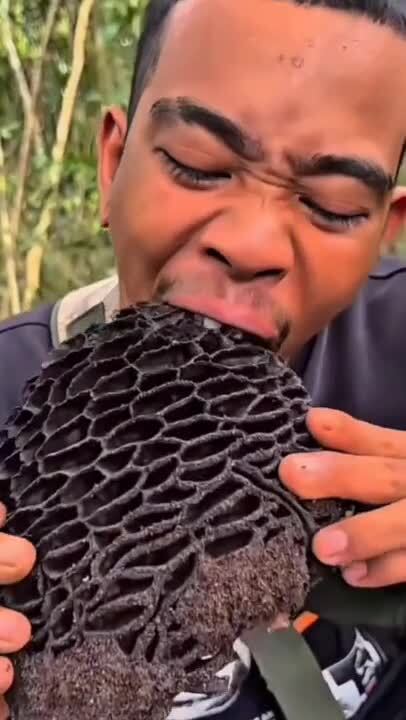 Обед по расписанию