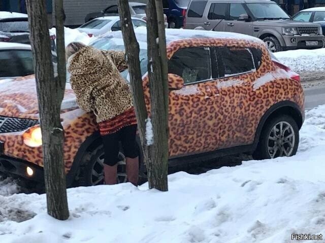 Солянка