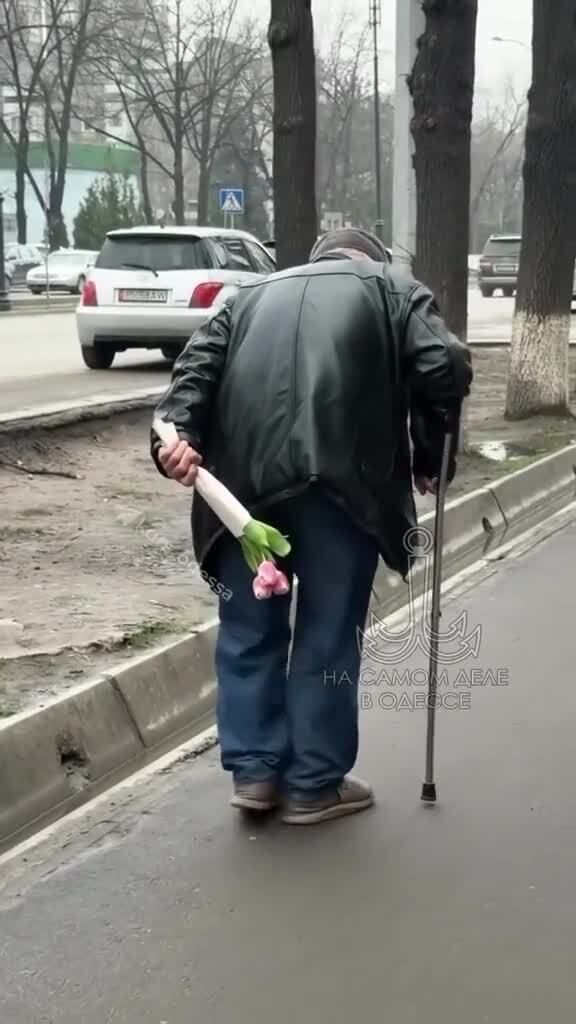 Солянка
