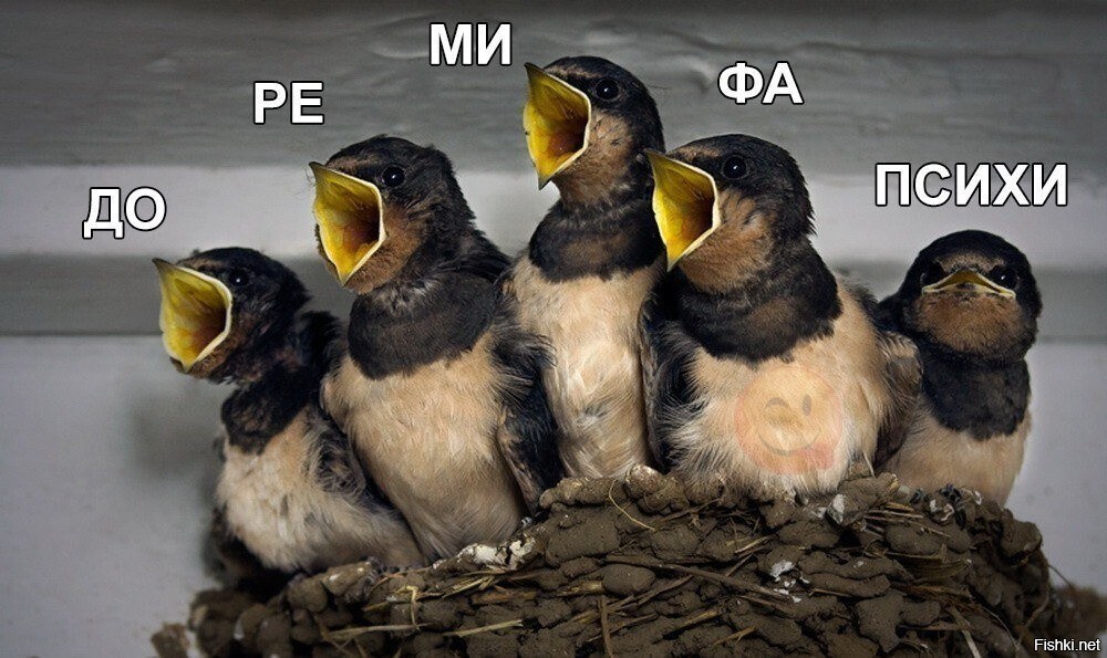 Утра доброго