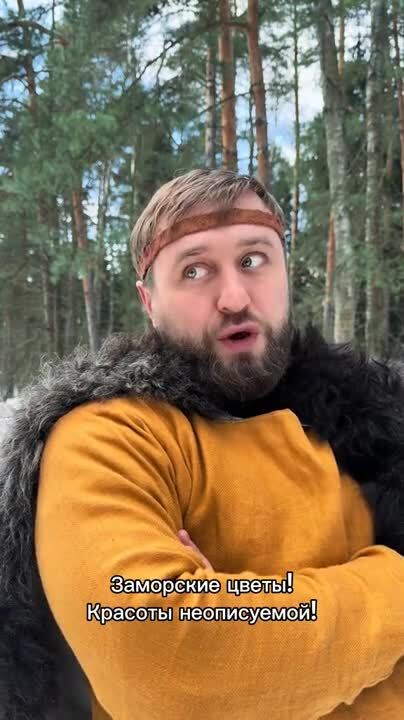 Жанр: Фантастика, Попаданцы