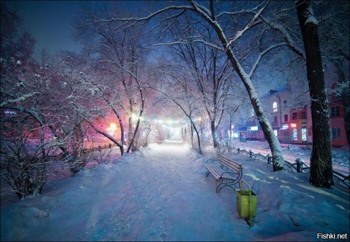 Солянка