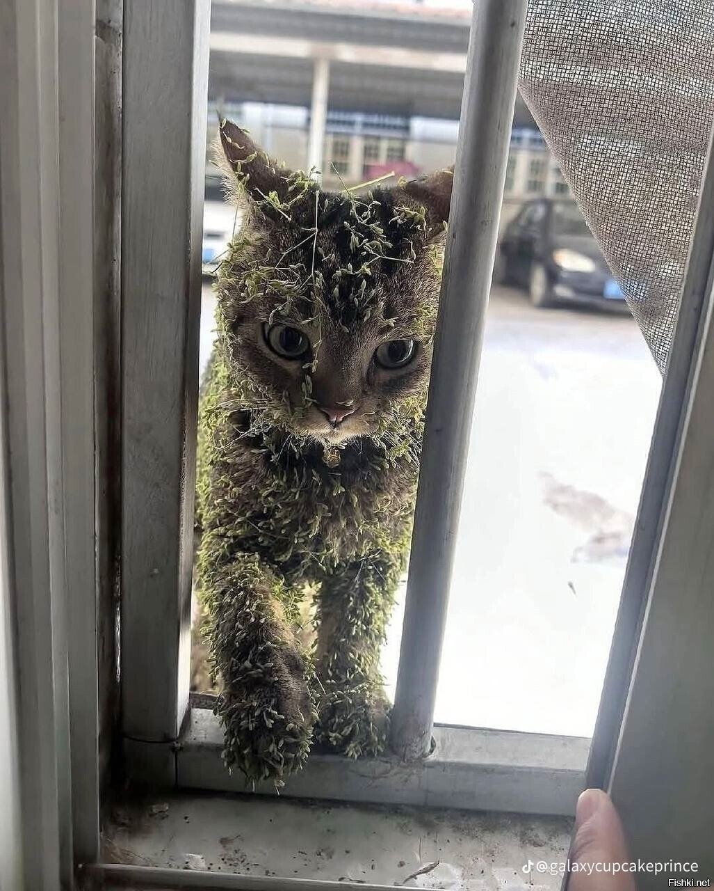 Солянка