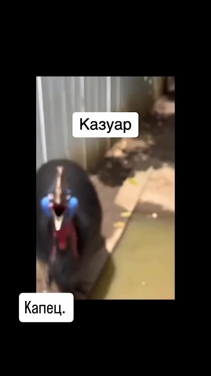 Природа, мать наша