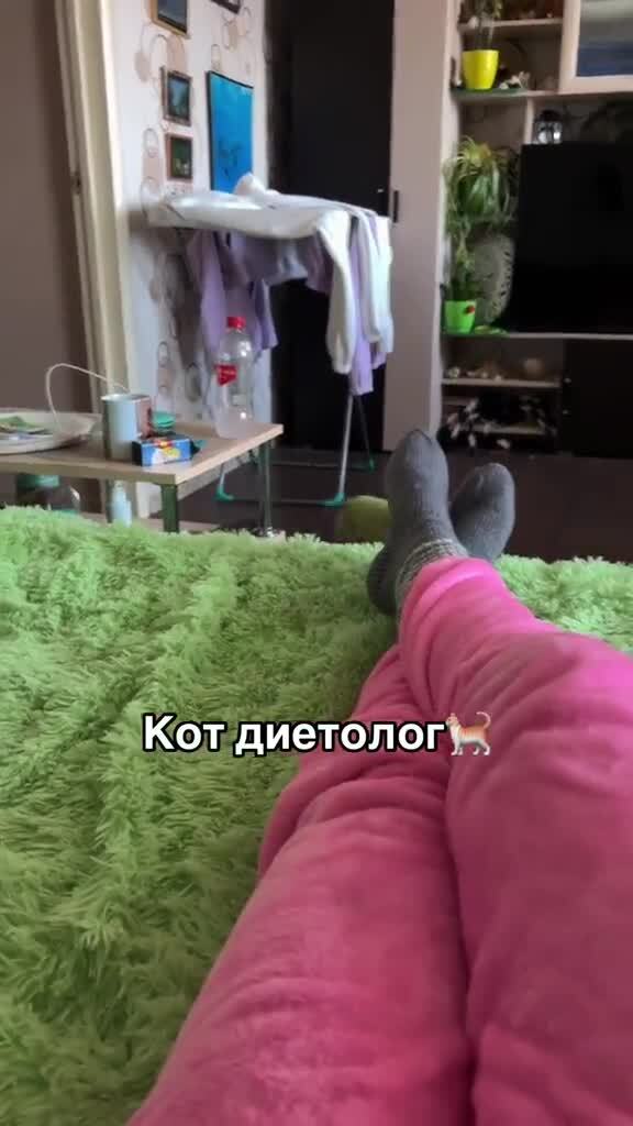 Солянка