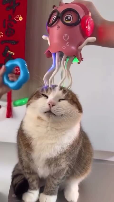 Массажик)