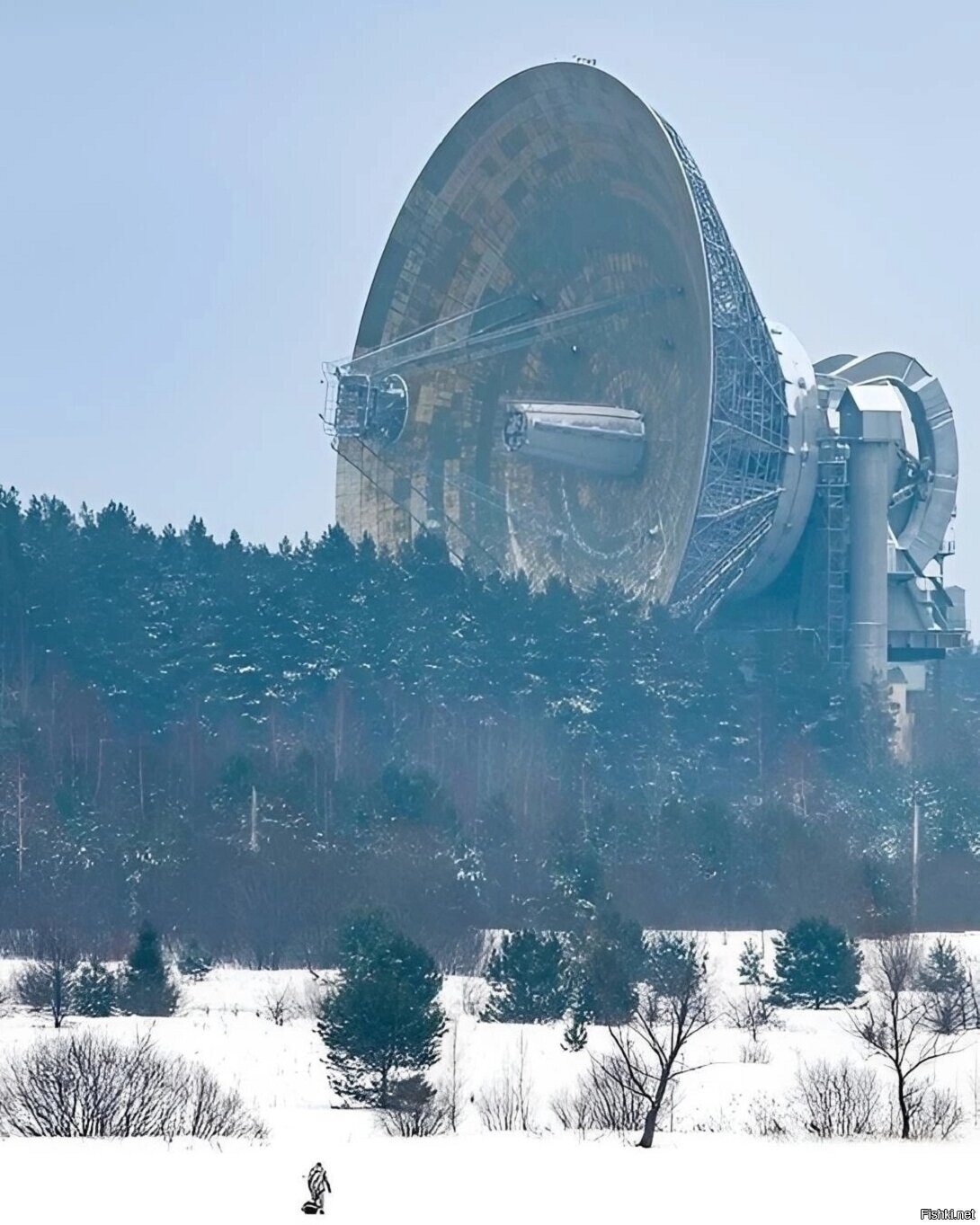 Солянка