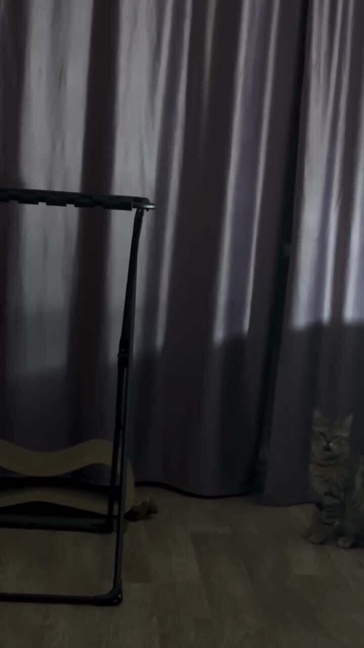 Со звуком