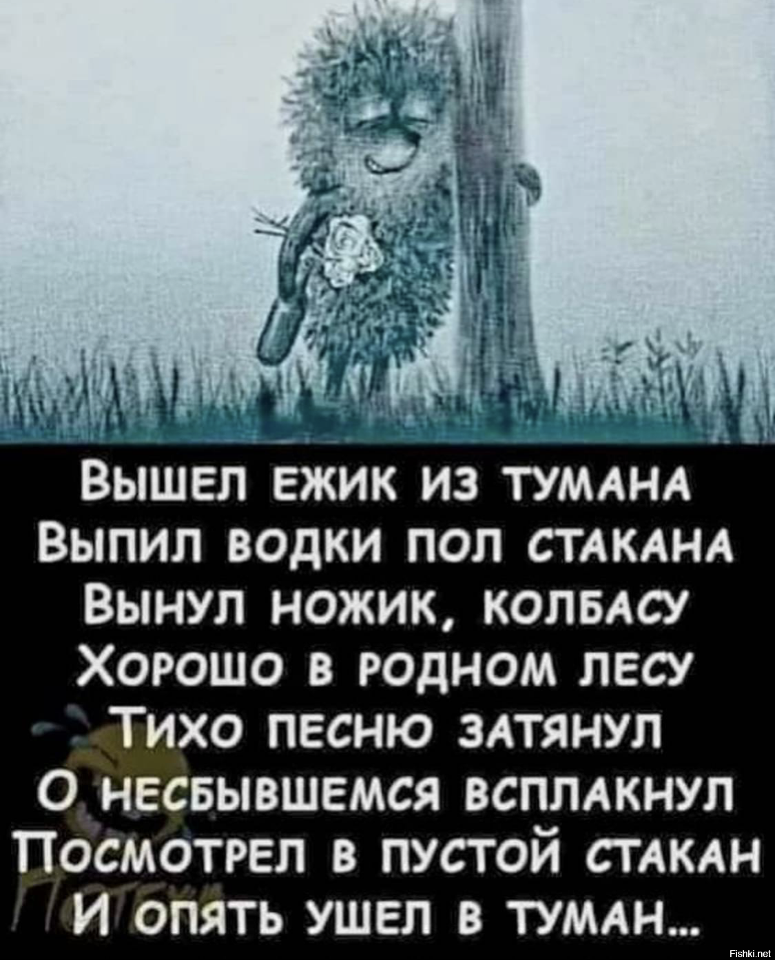 Солянка