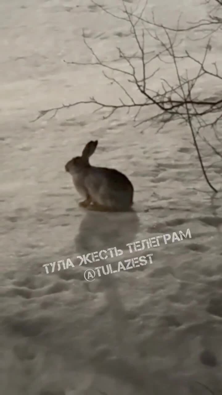 Вот что за люди