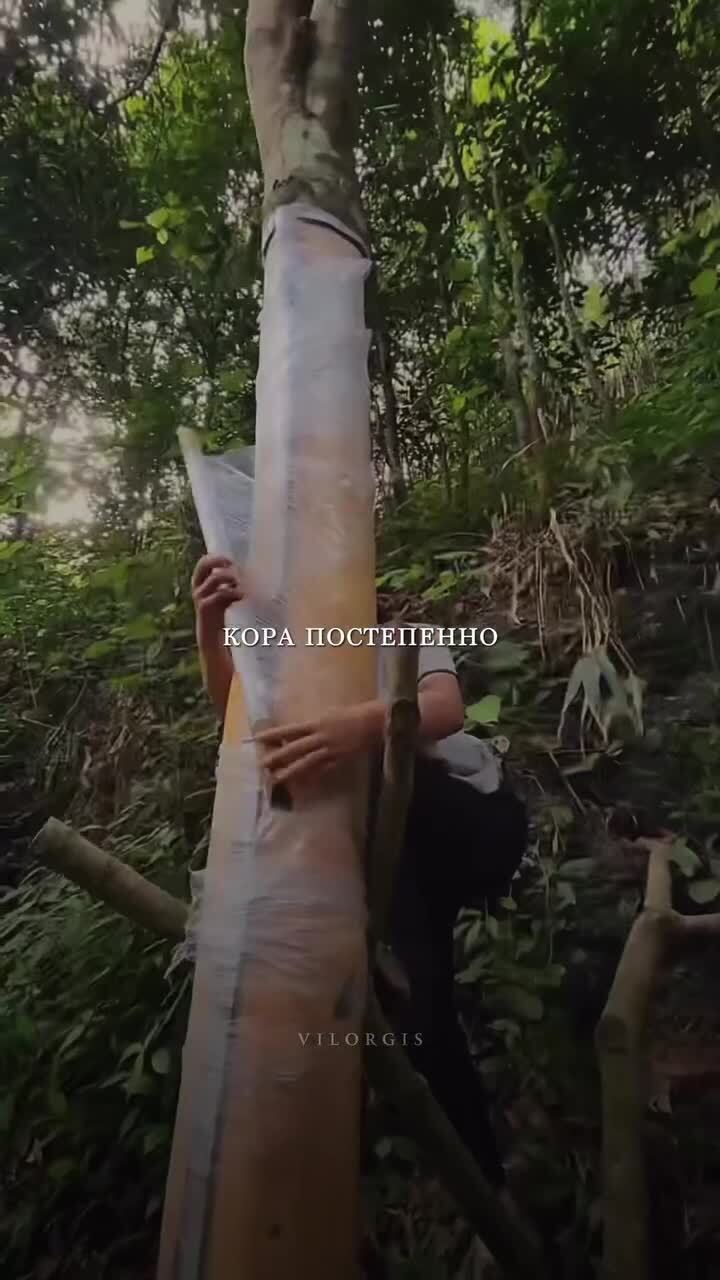 Специя с неожиданным происхождением