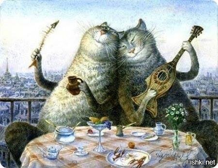 Вы слыхали как орут коты
